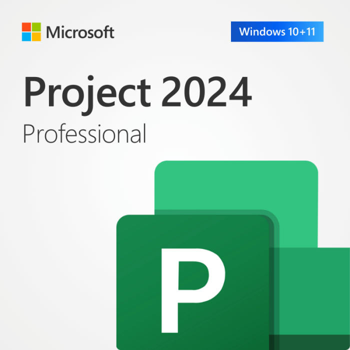 Microsoft Project 2024 Professional for 1 Device | Lifetime License | Windows