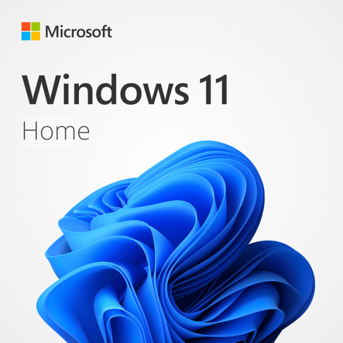 Microsoft Windows 11 Home for 3 PC | 64 Bit Product Key Online Activation Lifetime
